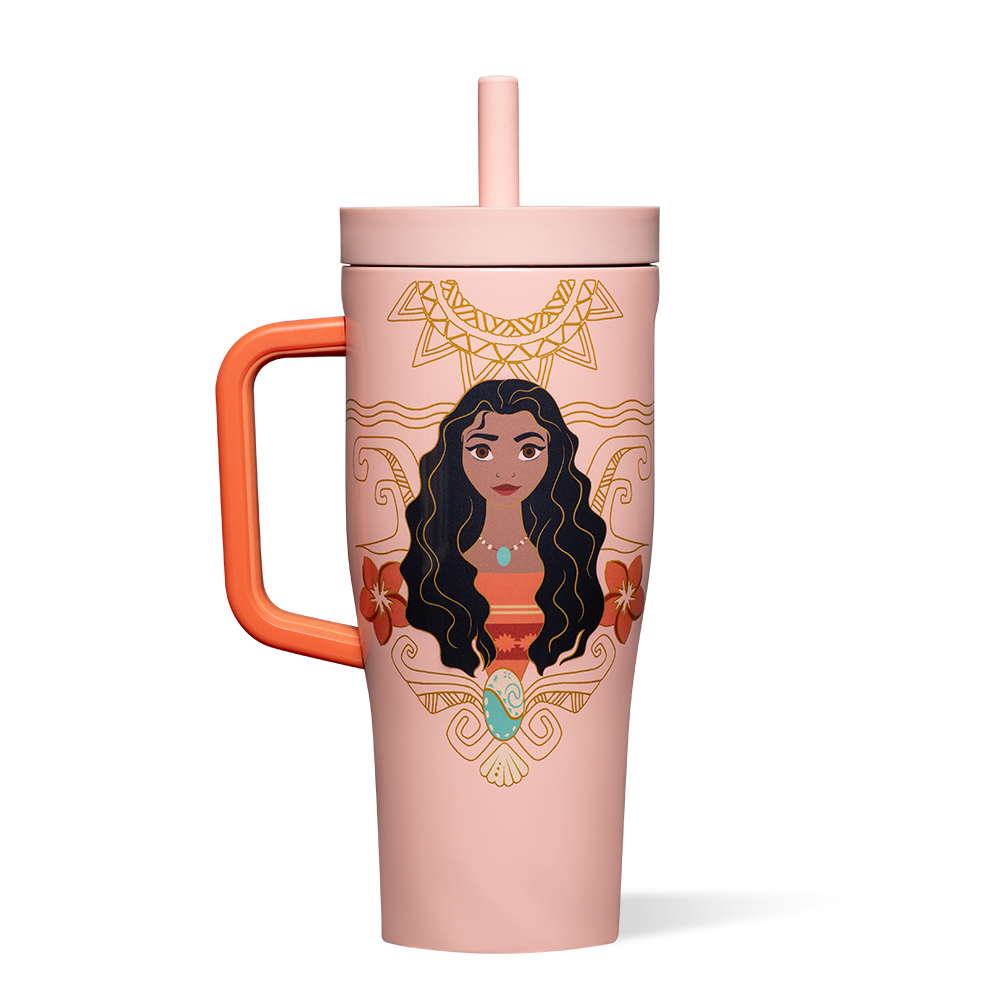 disney-princess-leakproof-cruiser-w0 DIS2222DP-M-01.png